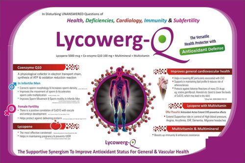 lycowerg3